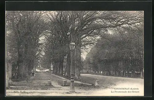 AK Courtenay, La Promenade des Ormes