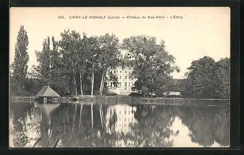 AK Ligny-le-Ribault, Château de Bon-Hôtel, L`Étang