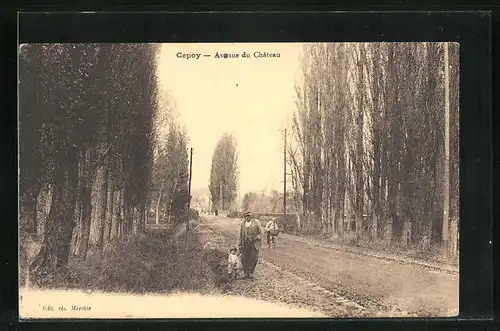 AK Cepoy, Avenue du Chateau
