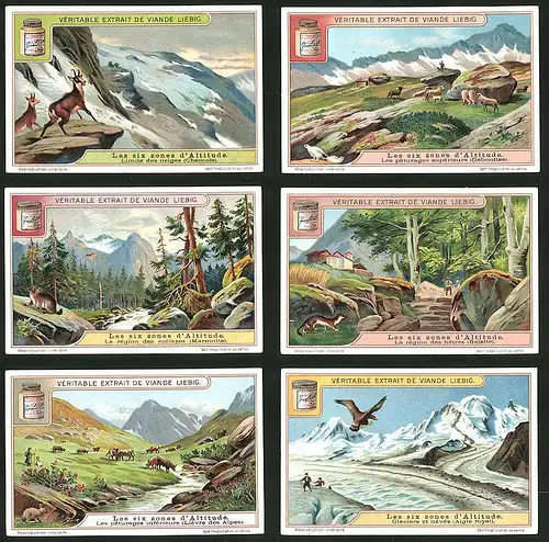 6 Sammelbilder Liebig, Serie Nr.: 1108, Six Zones d'Altitude, Gletscher, Hochalm, Gebirgswald, Hochgebirge Chamois