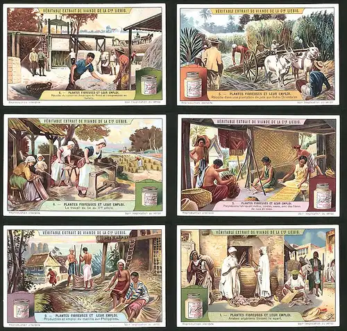 6 Sammelbilder Liebig, Serie Nr.: 1147, Plantes Fibreuses Et Leur Emploi, Korbflechter in Algerien, Polynesien