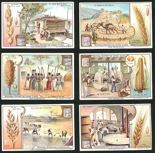 6 Sammelbilder Liebig, Serie Nr.: 781, Les Cereales, Getreideanbau & Verarbeitung, Reis, Mais