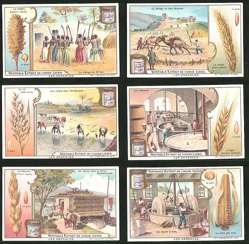 6 Sammelbilder Liebig, Serie Nr.: 781, Les Cereales, Getreideabau & verarbeitung, Brauerei, Mühle, Ernte