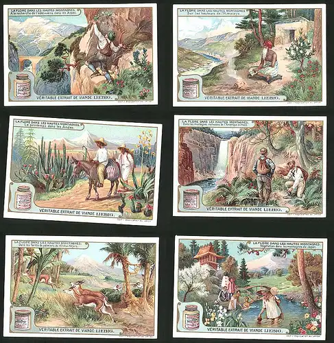 6 Sammelbilder Liebig, Serie Nr.: 930, La Flore Dans Les Hautes Montagnes, Japan, Afrika, Kanada, Anden, Himalaya