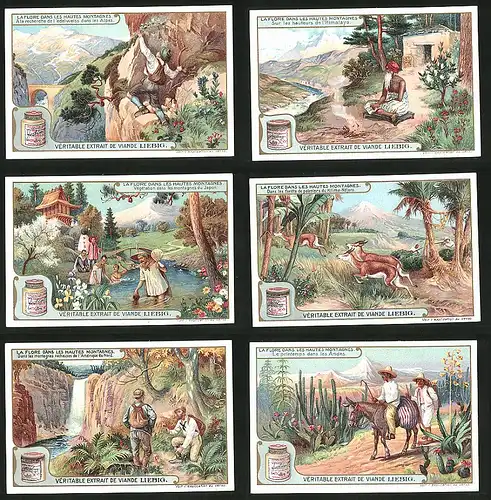 6 Sammelbilder Liebig, Serie Nr.: 930, La Flore Dans Les Hautes Montagnes, Alpen, Anden, Japan, Himalaya, Kilimandjaro