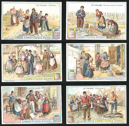6 Sammelbilder Liebig, Serie Nr.: 857, Alt-Holland, Fischmarkt, Haarlem, Blumenzucht, Tracht
