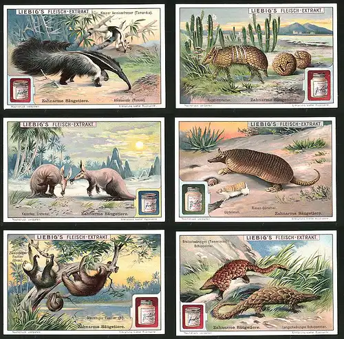 6 Sammelbilder Liebig, Serie Nr.: 1095, Zahnarme Säugetiere, Schuppentier, Faultier, Gürteltier, Erdferkel, Ameisenbär