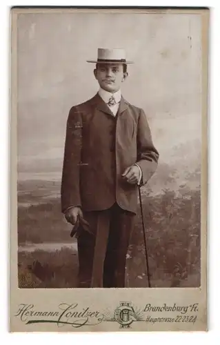 Fotografie Hermann Conitzer, Brandenburg / Havel, Portrait stattlicher Herr mit Hut und Gehstock