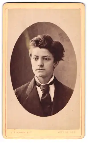 Fotografie F. Stephan & Co., Winterthur, Portrait Bursche im Anzug mit Krawatte