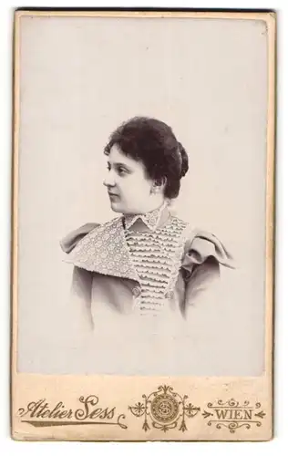 Fotografie Leopold Sess, Wien, Portrait junge Dame im hübschen Kleid