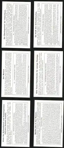 6 Sammelbilder Liebig, Serie Nr.: 1292, Ästhetik der Naturvölker, Tätowierung, Entstellung des Schädels, Hals, Nase, Ohr