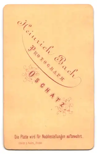Fotografie Heinrich Bach, Oschatz, Portrait bürgerliche Dame mit und Buch am Schreibtisch sitzend