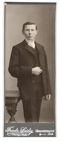 Fotografie Friedr. Seidig, Oranienbaum, Portrait junger Mann im Anzug mit Krawatte