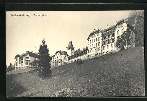 AK Wallenstadtberg, Feldpartie mit Blick zum Sanatorium