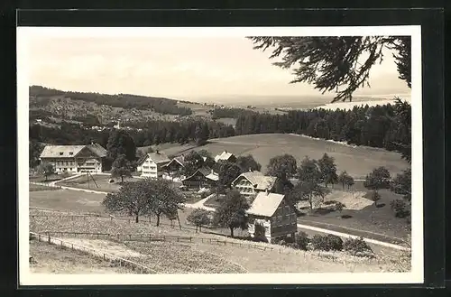 AK Wolfhalden, Ortsansicht mit See im Hintergrund