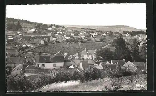 AK Mesnil-sur-Oger, Ortsansicht