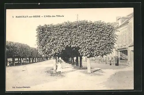 AK Marcilly-sur-Seine, L`Allée des Tilleus