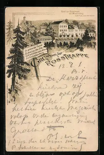 Lithographie Thale i. Harz, Gruss von der Rosstrappe, Hotel zur Rosstrappe mit Winzenburg