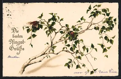 AK Maikäfer auf einem Birkenast, Pfingsten