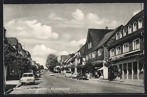 AK Winterberg / Hochsauerland, Strasse Am Waltenberg