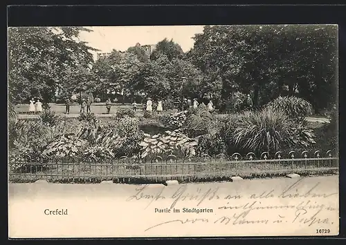 AK Crefeld, Partie im Stadtgarten