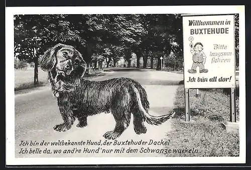 AK Buxtehude, Buxtehuder Dackel auf einer Landstrasse