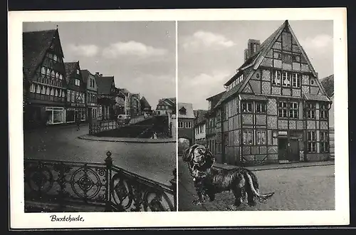AK Buxtehude, Strassenpartie und Fachwerkhaus mit Dackel