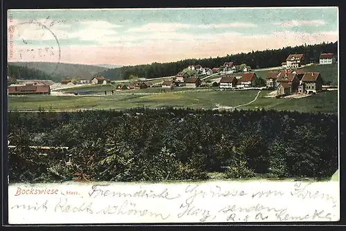 AK Bockswiese / Harz, Gesamtansicht