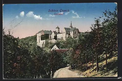 AK Goseck, Blick auf Schloss Goseck