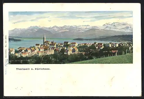 AK Thalweil a. Zürichsee, Ortsansicht bei Sonnenschein