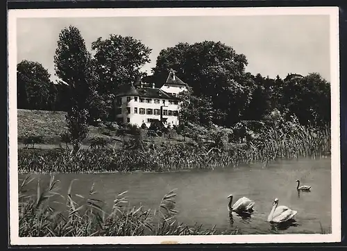 AK Brestenberg a. Hallwilersee, Kurhaus und Heilbad Schloss Brestenberg