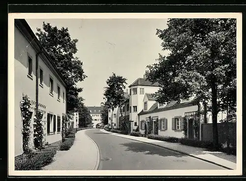 AK Berlin-Siemensstadt, Rapsstrasse mit Wohnhäusern in der Siedlung Siemensstadt