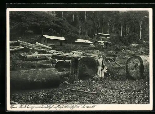 AK Eine Siedlung im deutsch-ostafrikanischen Urwald, Gefällte Bäume