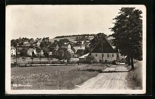 AK Börnichen, auf dem Weg in die kleine Ortschaft