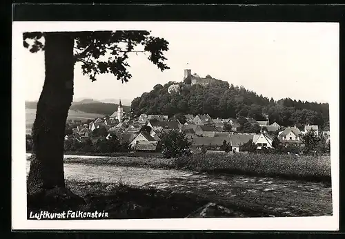 AK Falkenstein, Ortspanorama