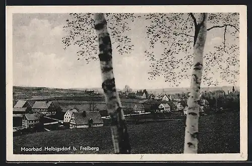 AK Helbigsdorf, Gesamtansicht