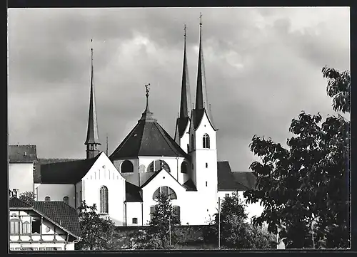 AK Muri, Blick auf die Klosterkirche