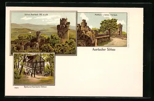 Lithographie Auerbach, Restaurant Auerbacher Schloss, Plattform v. Schloss, Schloss