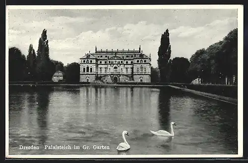 AK Dresden, Partie im Grossen Garten, Palaisteich