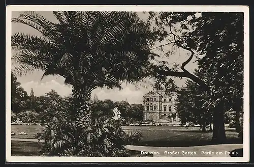 AK Dresden, Grosser Garten, Partie am Palais