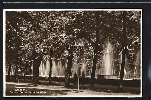 AK Dresden, Grosser Garten, Herkules-Allee, Springbrunnen