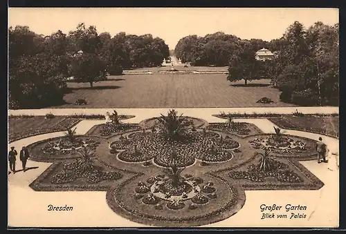 AK Dresden, Blick vom Palais in den Kgl. grossen Garten