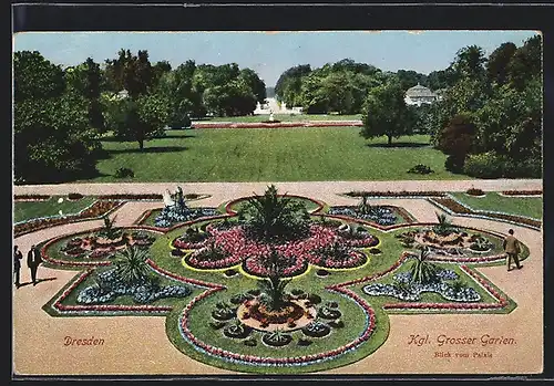 AK Dresden, Kgl. Grosser Garten mit Blumen und Palmen