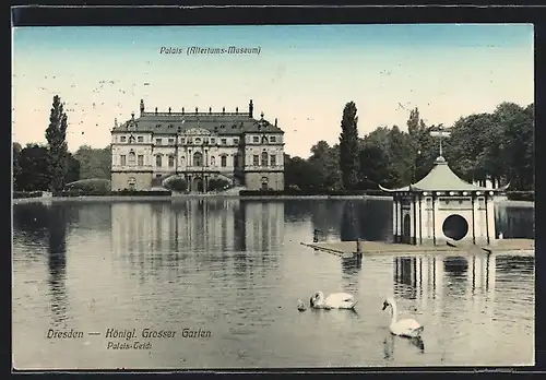 AK Dresden, Königl. Grosser Garten - Palais hinter dem Teich mit Pavillon und Schwänen