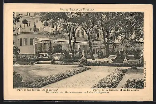 AK Dresden, Hotel Bellevue, Teilansicht der Gartenterrasse und des Dachgartens