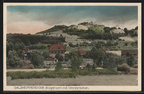 AK Salzhemmendorf, Bogshorn mit Steinbrüchen
