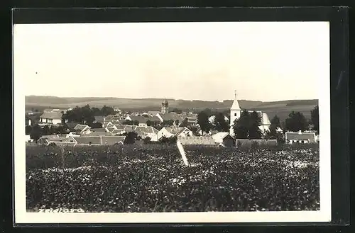 AK Zeletava, Panorama