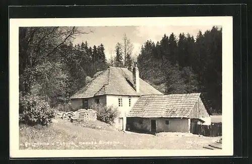 AK Cernovice, Landhaus im Walde
