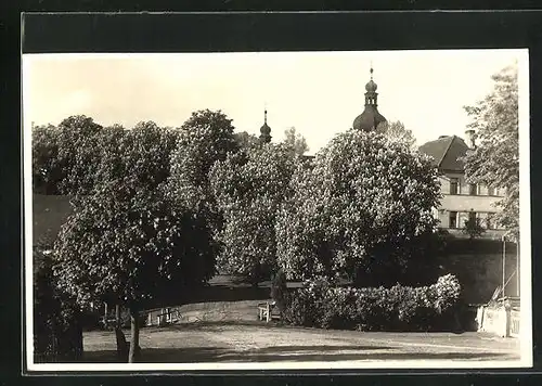 AK Kozlany, Stadtansicht