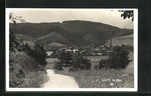 AK Usti nad Orlici, Strassenpartie mit Blick gen Ortschaft